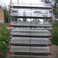 Direct Manufacture Quail Cage With Automatic Drinking System